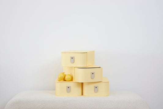 Milan Shoe Box - Limon